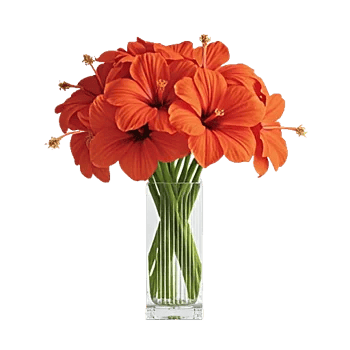 Radiant Bloom Cascade