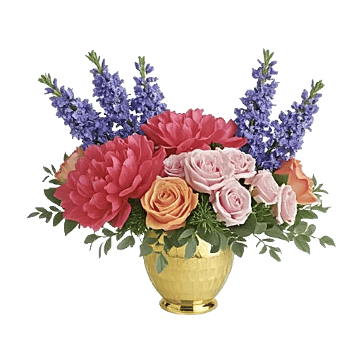 Peony Petal Harmony