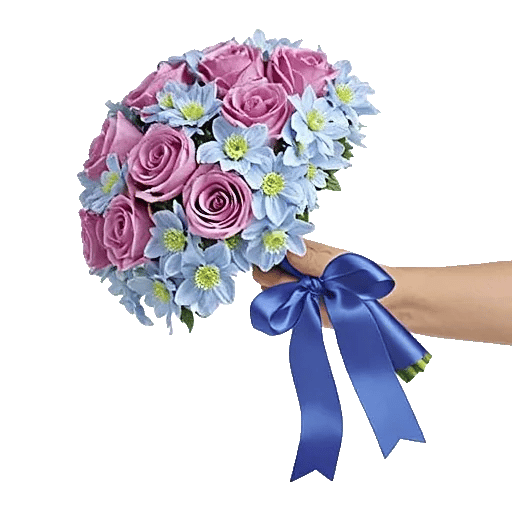 Blossom Petal Serenity