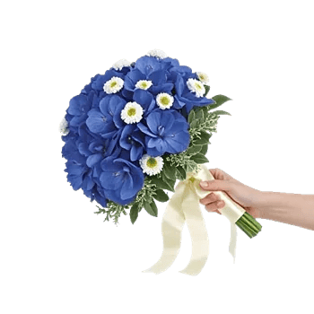 Sapphire Bloom Whisper