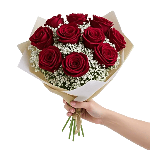 Crimson Rose Elegance