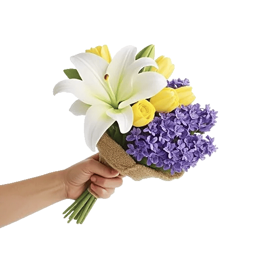 Blossom Harmony Display