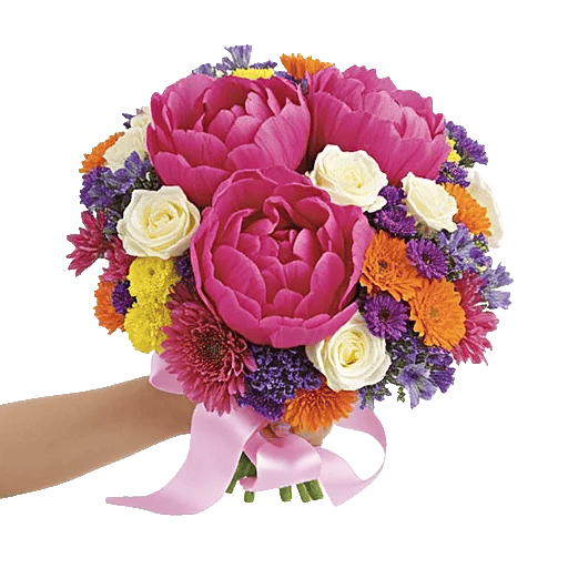 Peony Petal Harmony