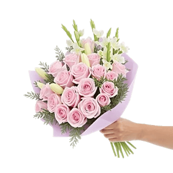 Pastel Pink Roses