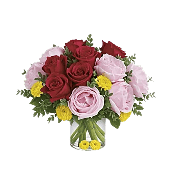 Petal Radiance Bliss