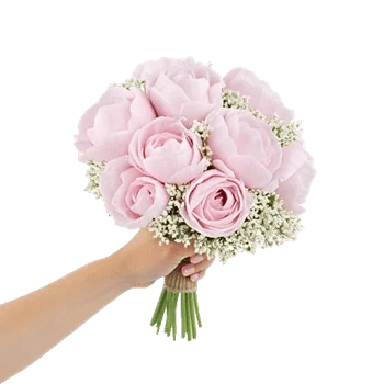 Peony Petal Harmony