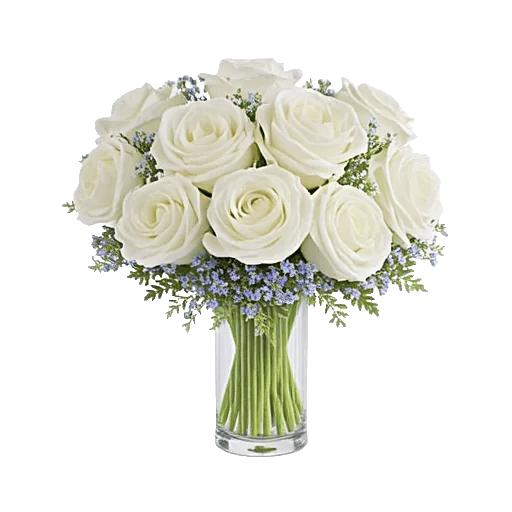 Delicate Petal Cascade