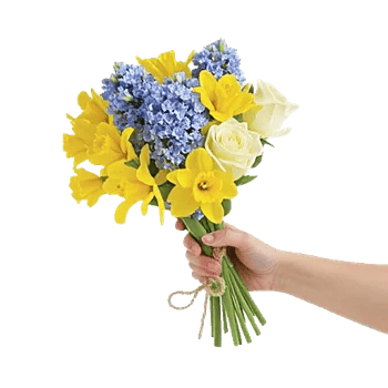 Serenity Blossom Grace