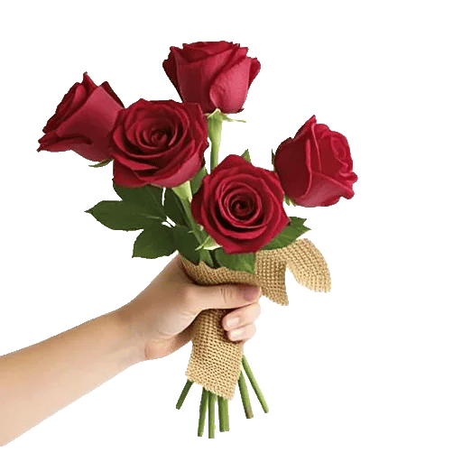 Crimson Rose Elegance