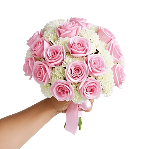 Pastel Pink Roses