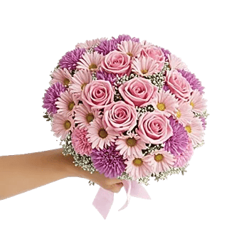 Blushing Rose Symphony
