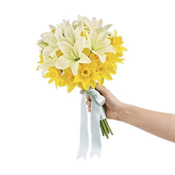 Delicate Petal Cascade