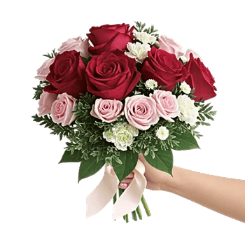 Crimson Rose Elegance