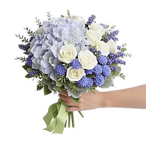 Serene Petal Harmony