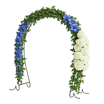 Minimalist White Orchids