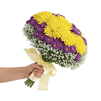 Blossom Harmony Display