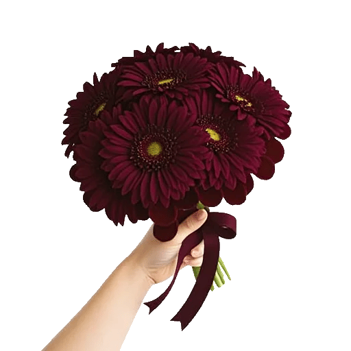 Ruby Petal Cascade