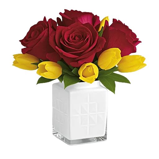 Radiant Rose Symphony