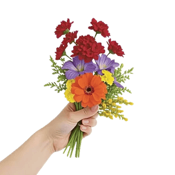 Petal Harmony Bliss