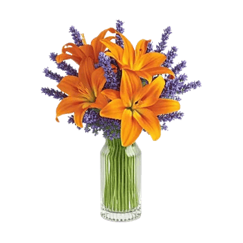 Graceful Lily Display