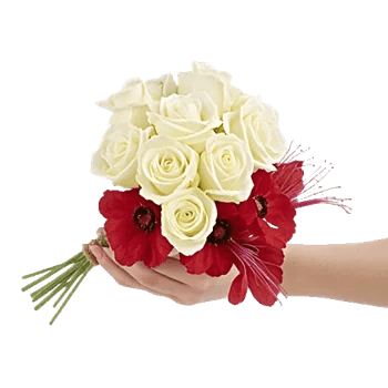 Petal Grace Harmony