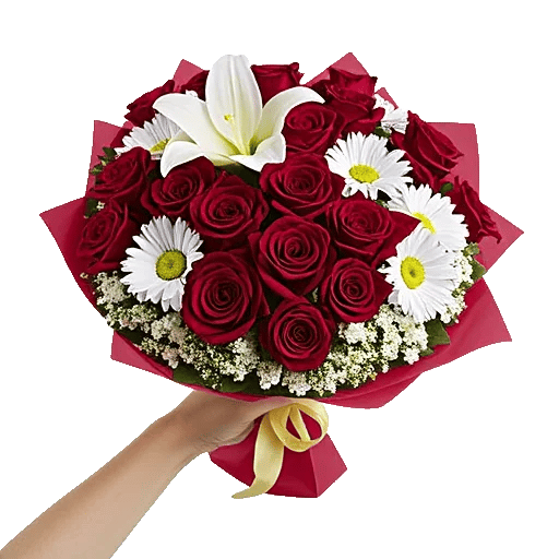 Crimson Rose Elegance