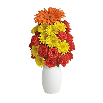 Radiant Petal Display