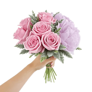 Pastel Pink Roses