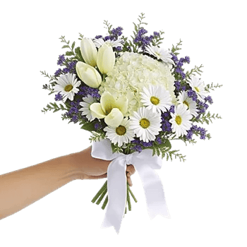 Blossom Harmony Display