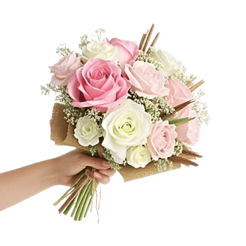 Pastel Pink Roses