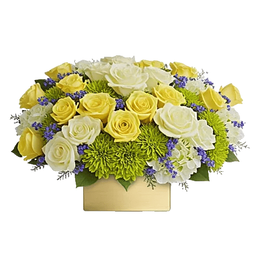 Ivory Blossom Radiance