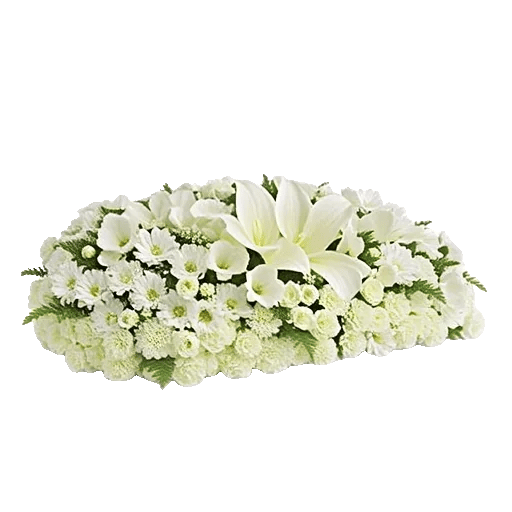 Ivory Garden Grace