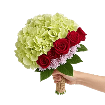 Serene Petal Harmony