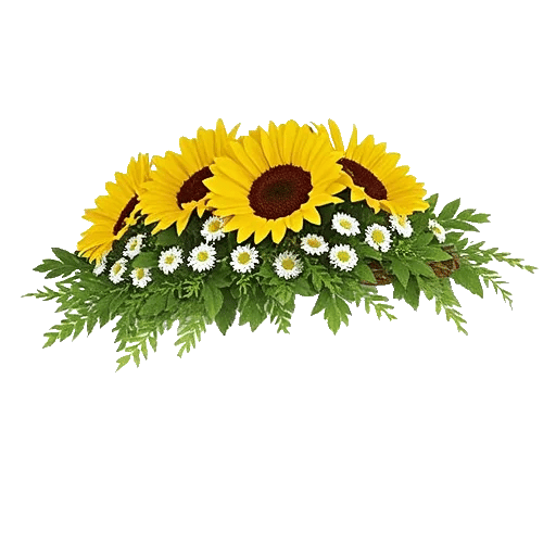 Radiant Bloom Cascade