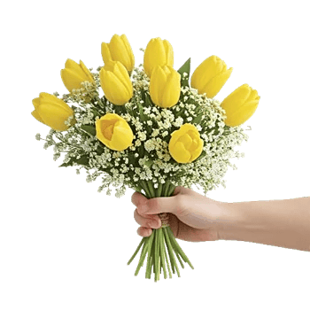 Velvet Tulip Display