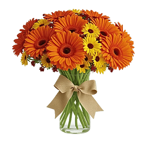 Petal Radiance Bliss