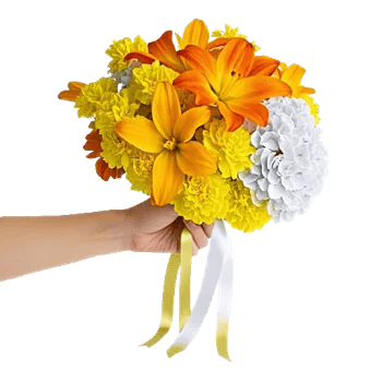 Blossom Harmony Display