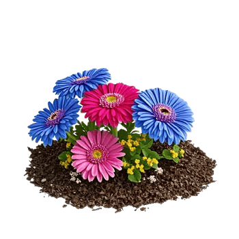 Petal Harmony Garden