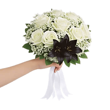 Ivory Blossom Radiance