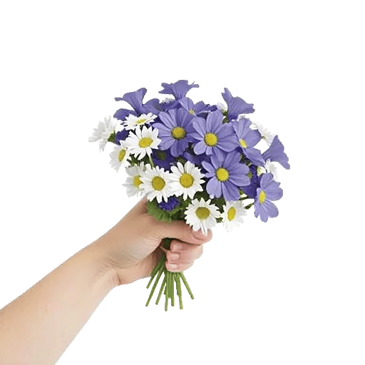 Daisy Meadow Spread