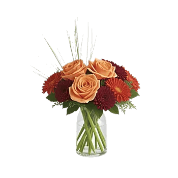 Petal Radiance Bliss