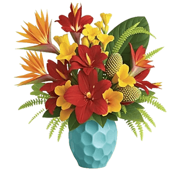 Tropical Sunflower Burst