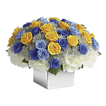 Elegant Blue Roses