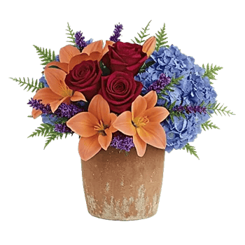 Serene Petal Harmony