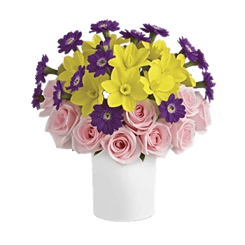 Blossom Harmony Display