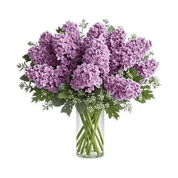 Lavender Bloom Grace