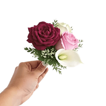 Elegant Calla Lilies