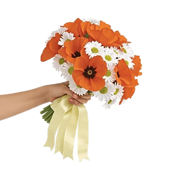 Delicate Petal Cascade