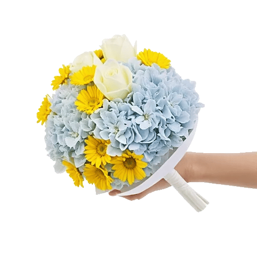 Serene Petal Harmony