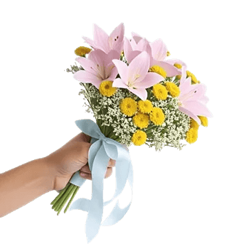 Blossom Petal Serenity